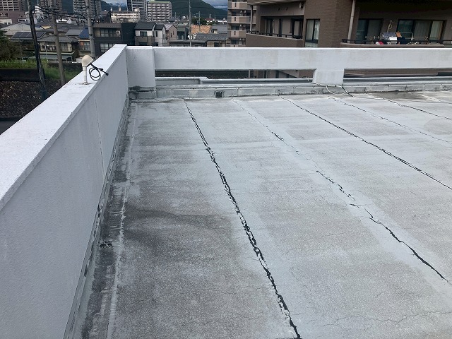 陸屋根の状況確認